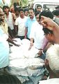 Sai Chaitanya Foundation